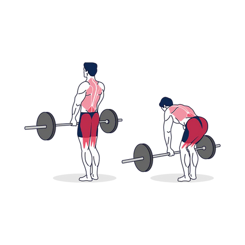 Stabiliser son dos pour la performance — illustration 2