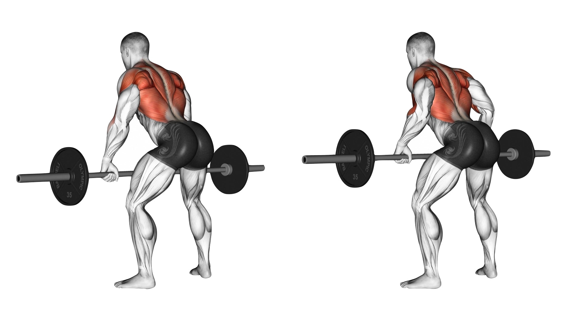 Stabiliser son dos pour la performance
